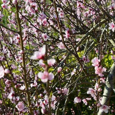 Relais Santa Croce All'eremo Nocleg ze śniadaniem *