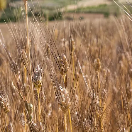 Nocleg ze śniadaniem Relais Santa Croce All'eremo