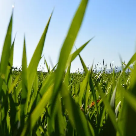 Relais Santa Croce All'eremo *