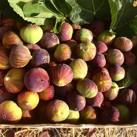 Nocleg ze śniadaniem Relais Santa Croce All'eremo Casteltermini